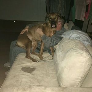 Meet your Posher, Rob